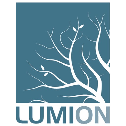 أصبح Lumion سهلًا تعرف على جميع أساسيات Lumion